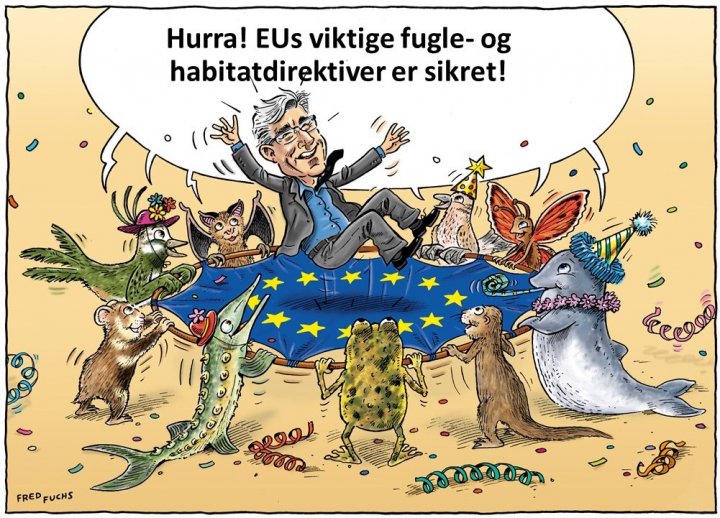EU-direktiv EU-direktiv