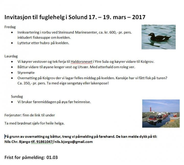 Program for fuglehelga