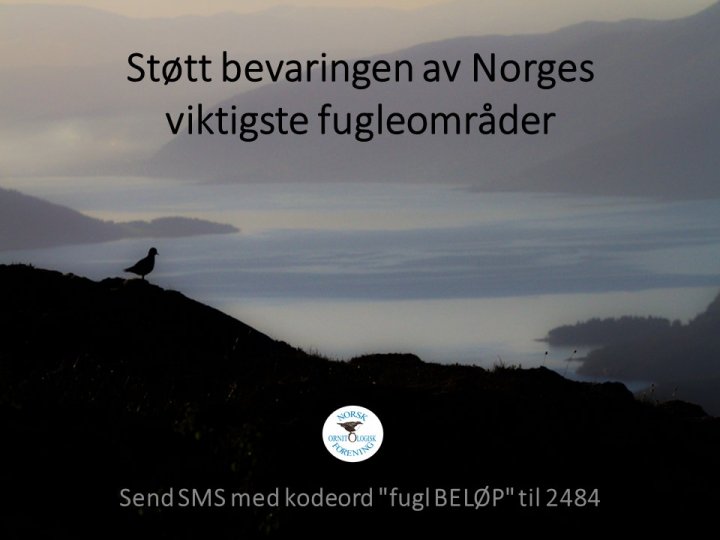 IBA IBA
