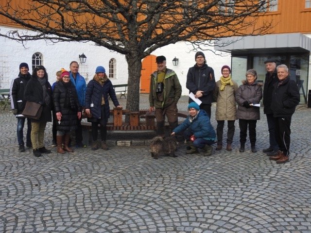 Fuglekassearrangement Fuglekassearrangement