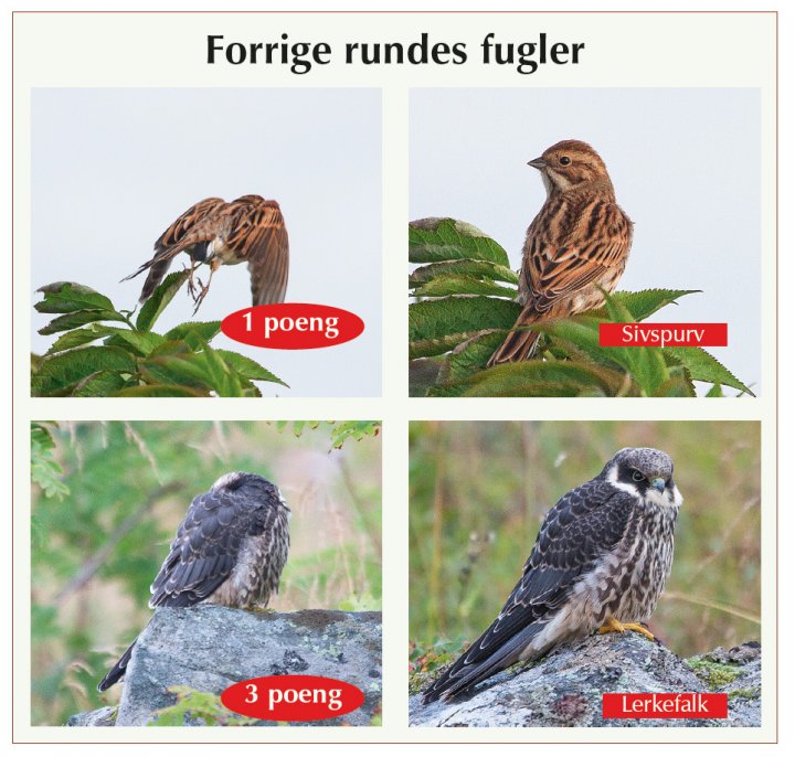 Fotonøtta Vår Fuglefauna 1-2017 fasitbilder