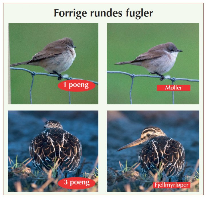 Fotonøtta Vår Fuglefauna 2-2017 fasitbilder