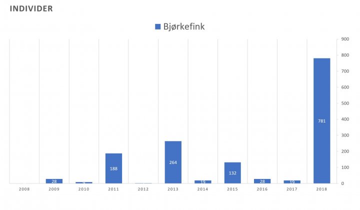 Bjørkefink søylediagram