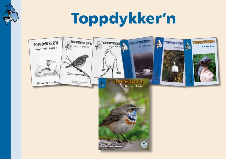 Toppdykker'n Toppdykker'n