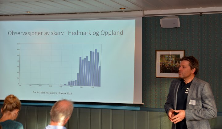 Skarv i Innlandet Skarv i Innlandet