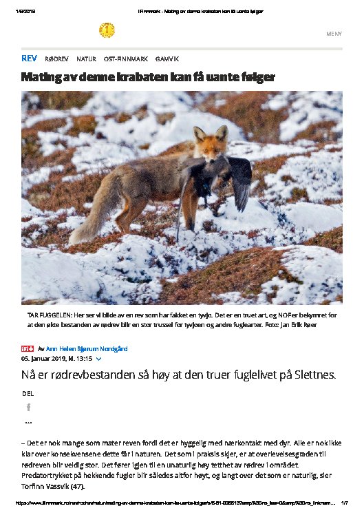 Mating av denne krabaten kan gi uante følger Mating av denne krabaten kan gi uante følger