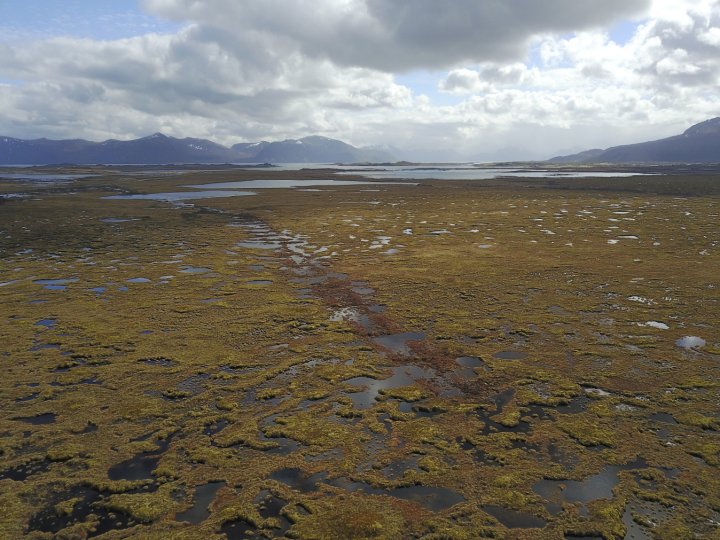 Gunnfjorden NR etter restaurering