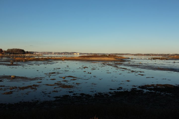 Risøybukta Risøybukta