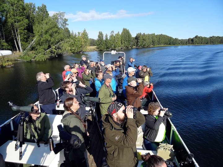 Fugletur med MS Øyeren Fugletur med MS Øyeren