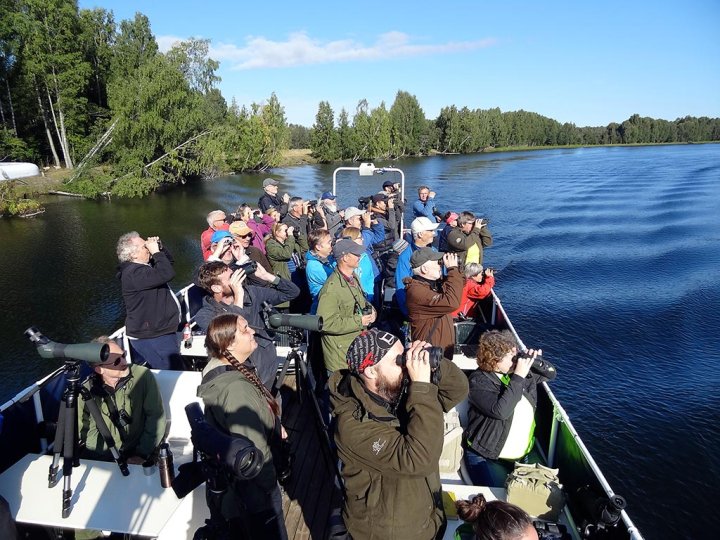 Fugletur med MS Øyeren