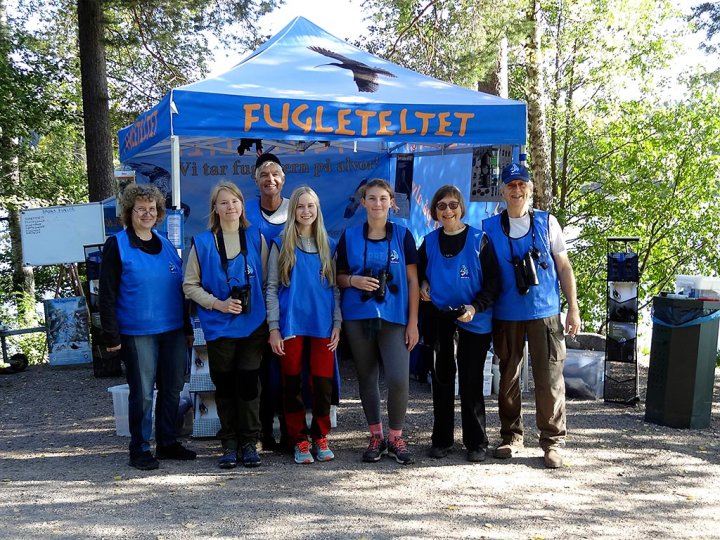 Fugleteltet Fugleteltet