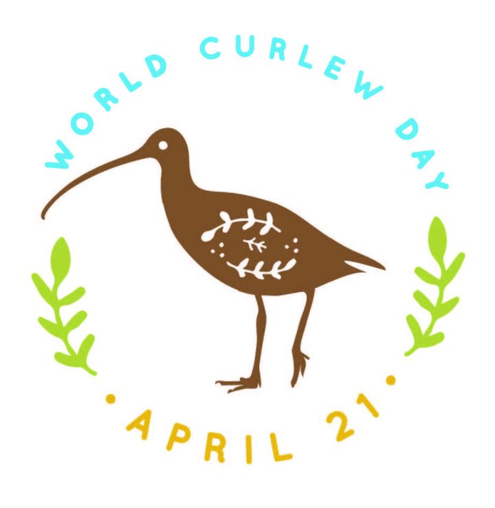 World Curlew Day logo