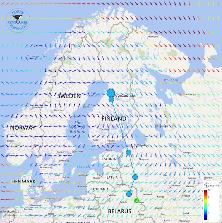 Kart fjellvåk