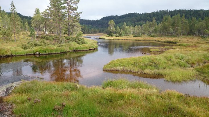 Vassendvannet