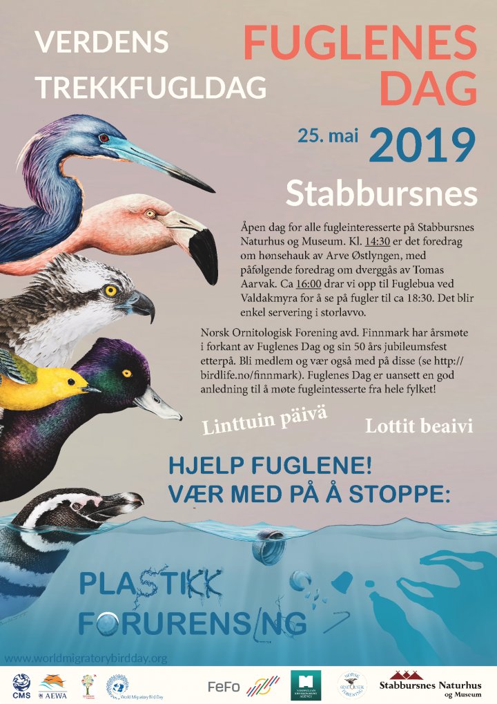 Fuglenes Dag-poster 2019 Fuglenes Dag-poster 2019