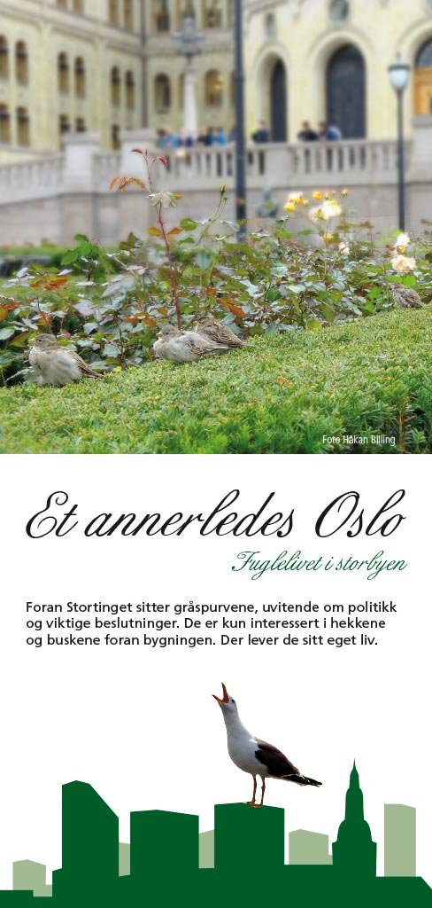 Et annerledes Oslo