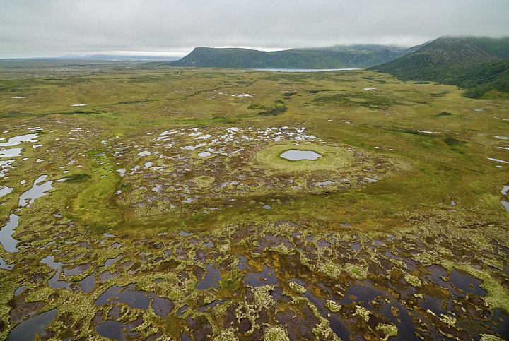 Myr Andøya