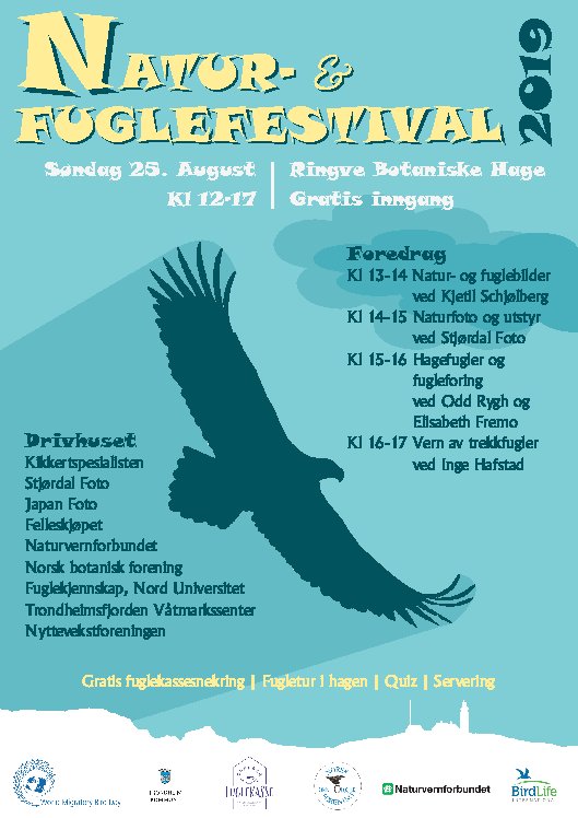 Fuglefestival