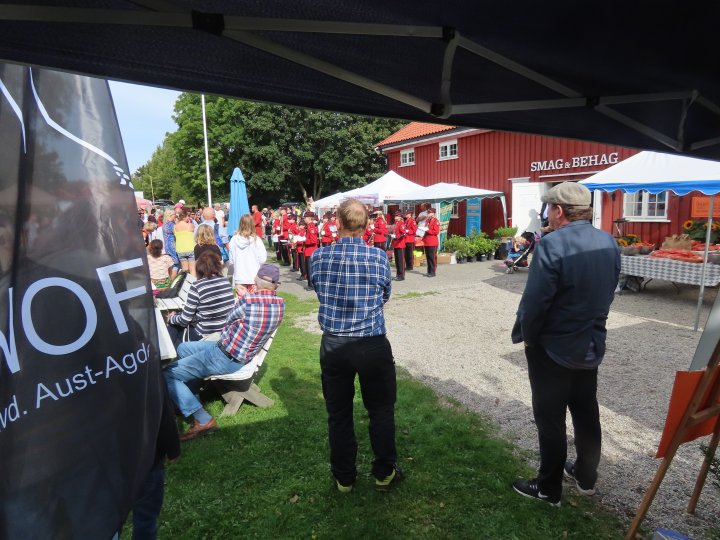 stand på Gulrotfestival