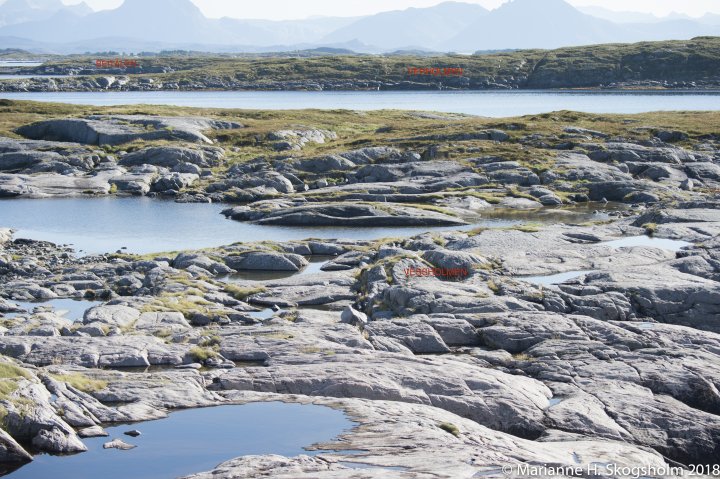 Verholmen Verholmen