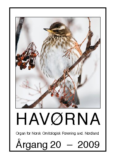 Havørna 2009 Havørna 2009