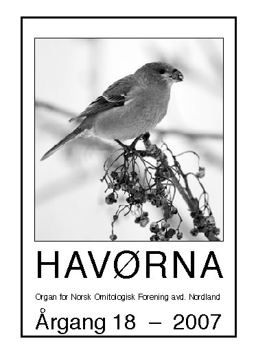 Havørna 2007 Havørna 2007