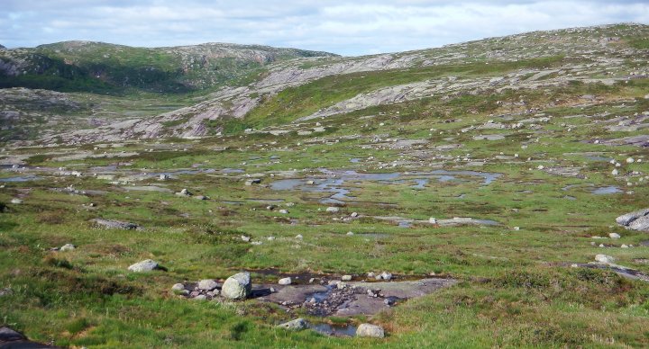 Buheii sør 2015-07-10