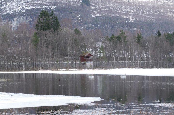 Fugletårn Fiskvågvatnet Fugletårn Fiskvågvatnet