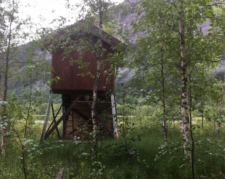 Fugletårn Fiskvåg Fugletårn Fiskvåg