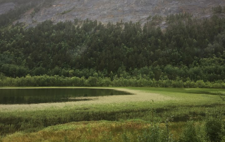Fiskvågvatnet nordende Fiskvågvatnet nordende