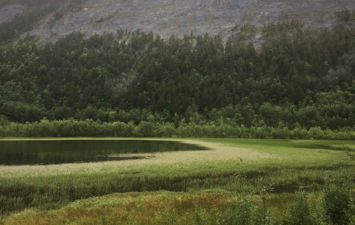 Fiskvågvatnet nordende