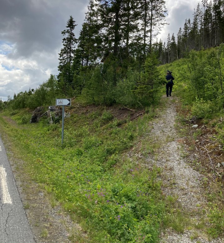 Simskarmyra sti til tårn Simskarmyra sti til tårn