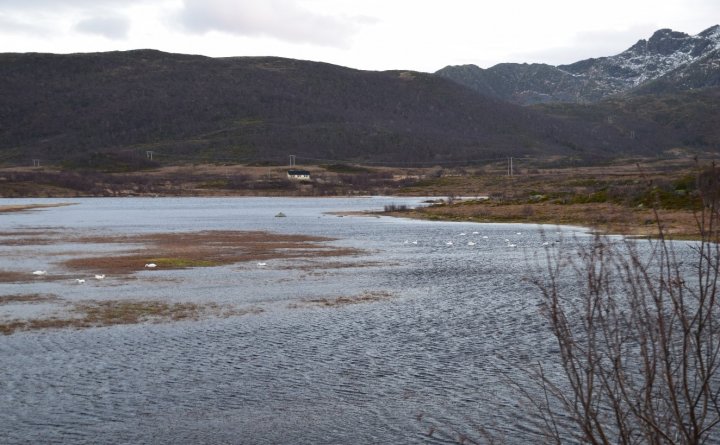 Gårdsvatnet Gårdsvatnet