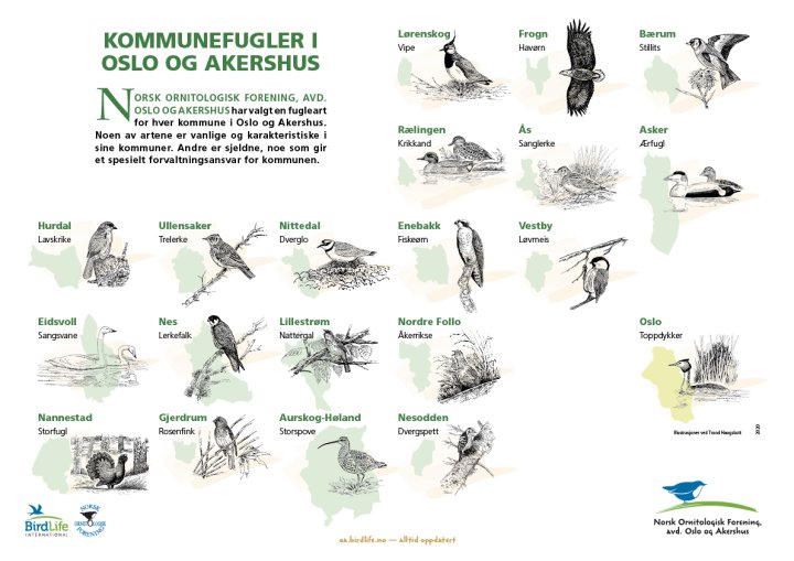 Kommunefugler i Oslo og Akershus