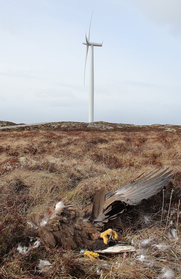 Smøla Smøla