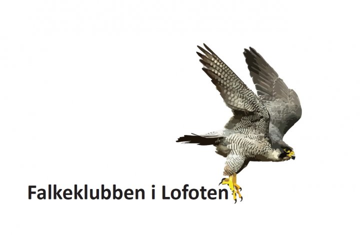 Falkeklubben