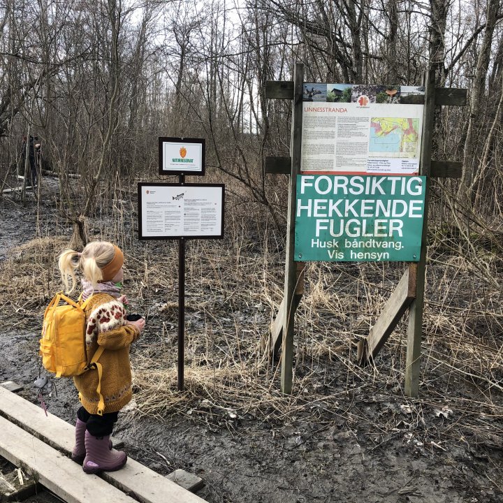 Fuglekikking