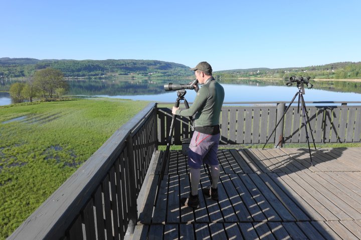 Tårnkonkurranse på Fiskumvannet 30.05.21