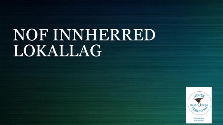 Innlegg fra Innherred lokallag