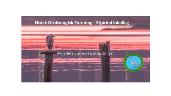 Innlegg fra Stjørdal lokallag