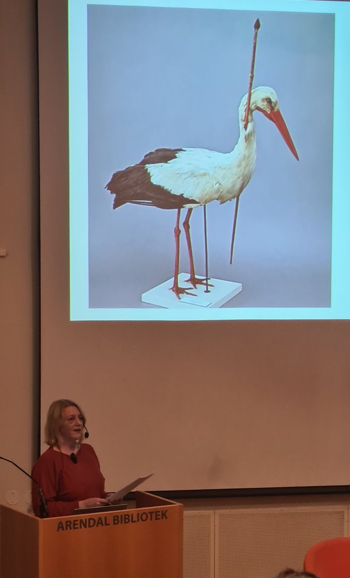 pilstork pilstork