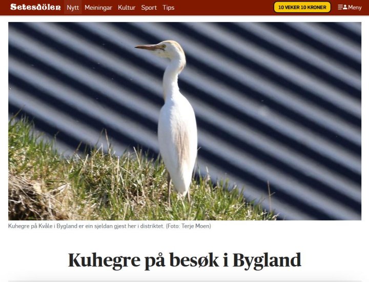 Kuhegra Kuhegra