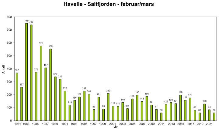 havelle