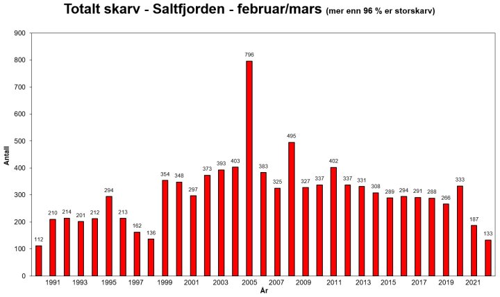 storskarv