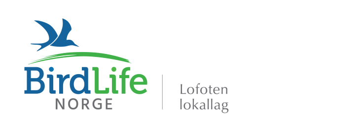 BirdLife Lofoten BirdLife Lofoten