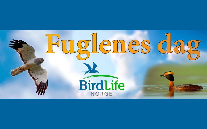 Fuglenes dag