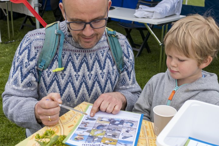 Utfylling av fuglebingo Utfylling av fuglebingo