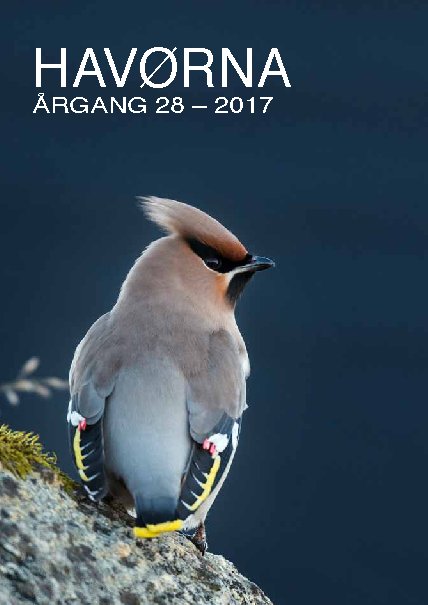Havørna 2017 Havørna 2017