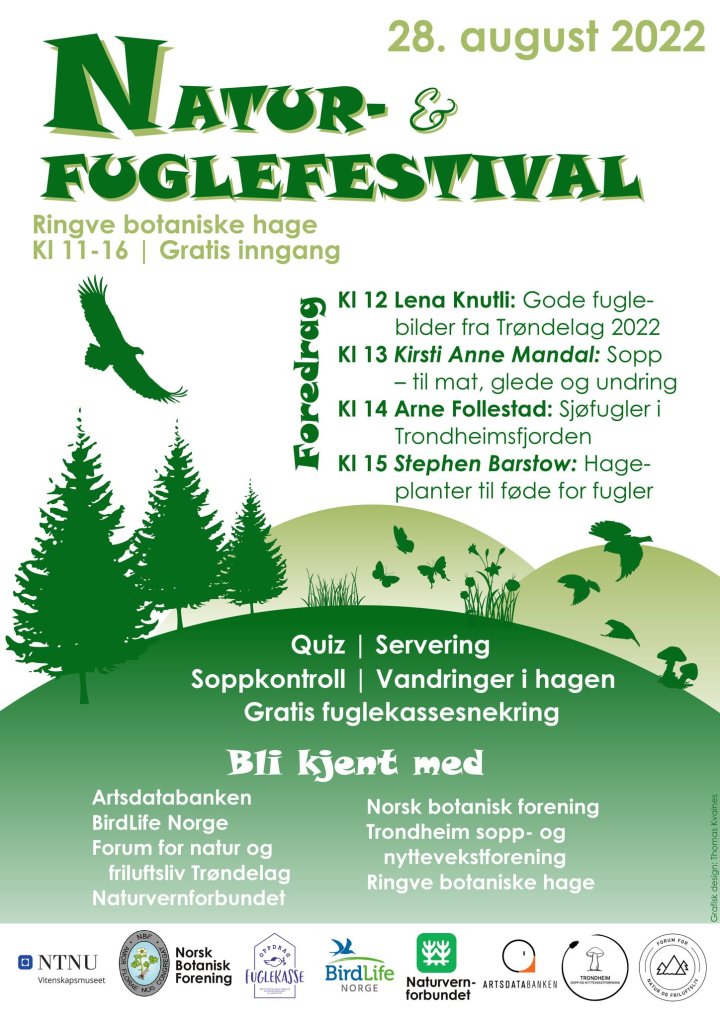 Natur- og fuglefestival