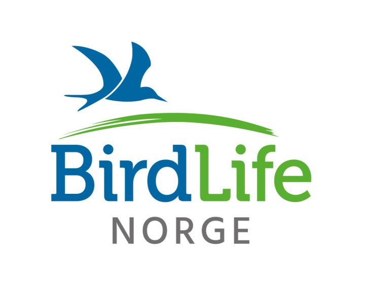 BirdLife Norge logo